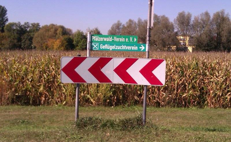 zumzeki.jpg zumzeki.jpg