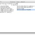 osx_terminal_bash.jpg