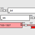 slim-color-example.png
