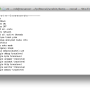 rr_console_commands.png