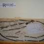 rocrail-demo-fase2.jpg