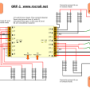 thumb-orf-1-connections.png