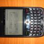 rocweb-blackberry.jpg